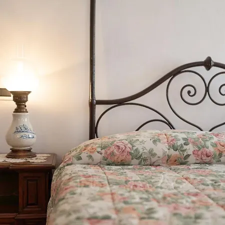 Camomilla Bellissimi