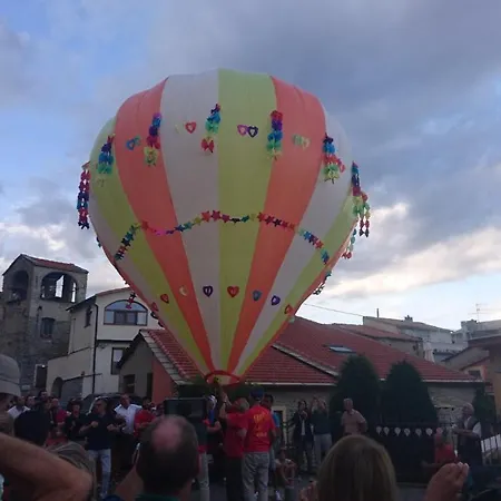 Camomilla * Bellissimi